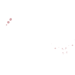Logo Le Paradis des Soins